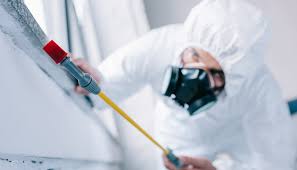 Best Termite Inspection and Treatment  in Port Allen, LA